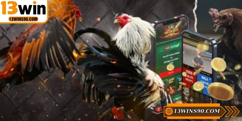 Giới thiệu sơ lược về sảnh game hấp dẫn đá gà 13WIN